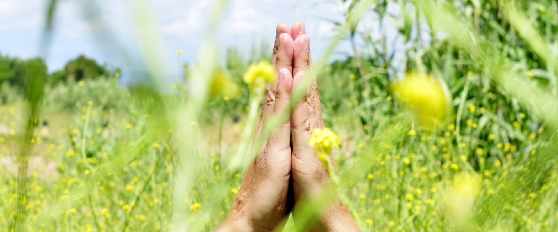 Embrace Wellness On A Silent Meditation Retreat Near Los Angeles For African American Men