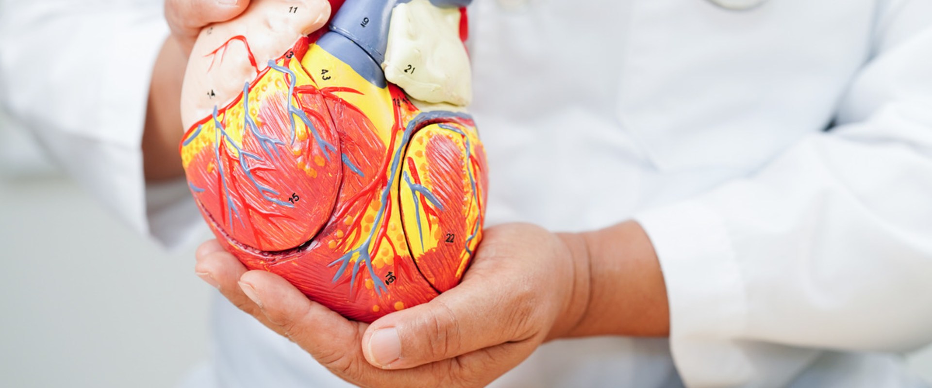 What Does CVD Stand For and Why Is It Essential to Know About Cardiovascular Disease for Your Health?