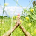 Embrace Wellness On A Silent Meditation Retreat Near Los Angeles For African American Men